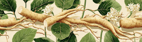 Organsia Health: The health benefits of Ashwagandha!