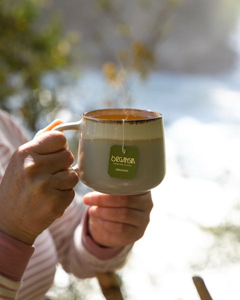 Hands cradling a steaming mug of Organsia tea outdoors