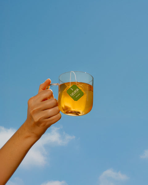 Organsia pyramid tea bag in summer light